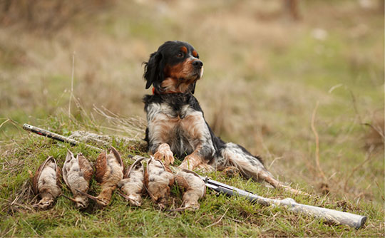 Hunting Preserve Appraisals